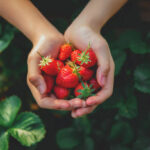 Čas na sladkou úrodu: Kdy přesně začít sázet jahody a co udělat pro to, aby byly letos obří